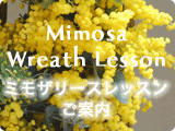 ミモザリースレッスンごあんない