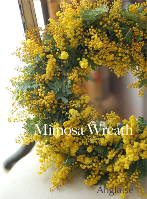 Mimosa Wreath